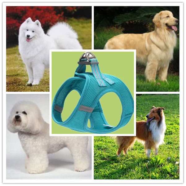 Mordely Explosion Proof Comfortable Pet Chest Strap Night Vision Reflective Dog Traction Rope Chest Strap