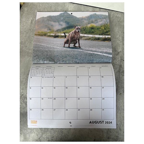 Mordely Rolig kalenderpresent 2024-kalender för hundbajsande kalender