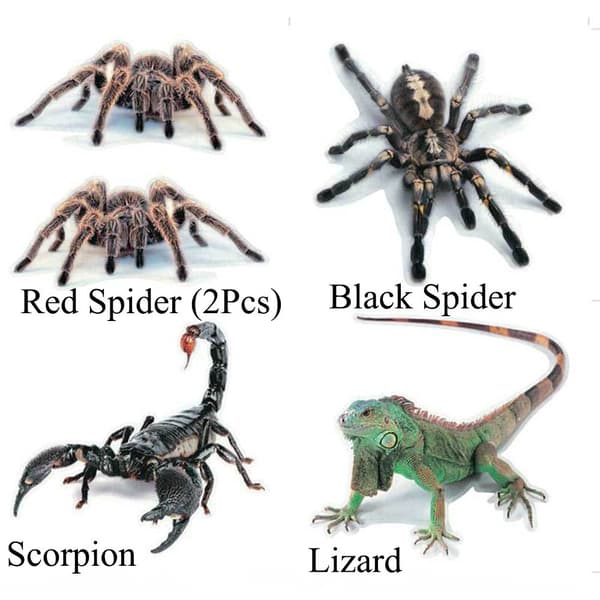 Mordely 3D-autotarra Auto Decor Spider Crawling BLACK SPIDER Black spider
