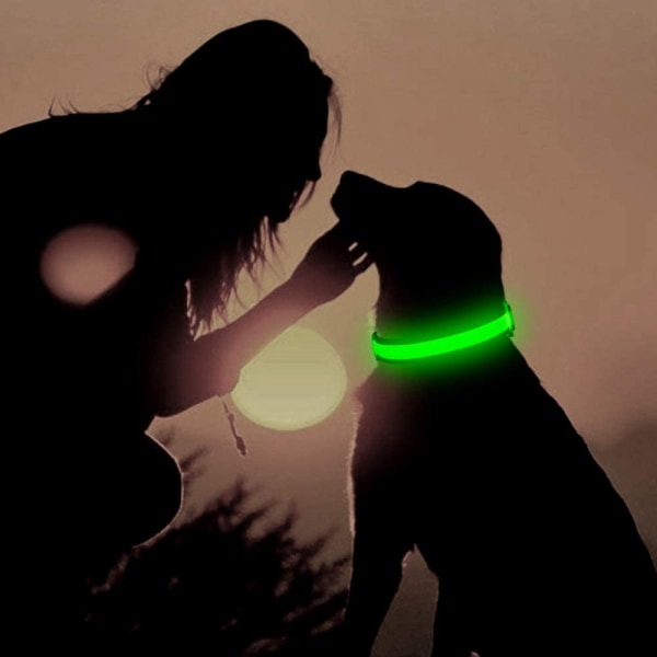Mordely ED-hundhalsband, USB uppladdningsbara belysningslampor för hundhalsband, Green L