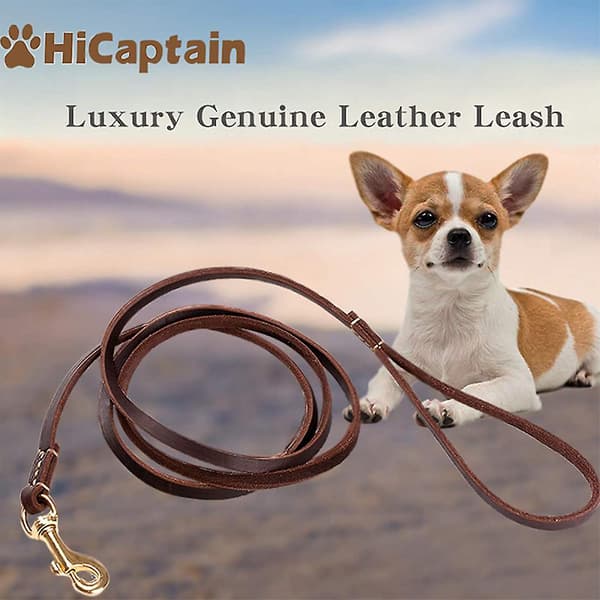2023 Leather Dog Leash - Best For Training
