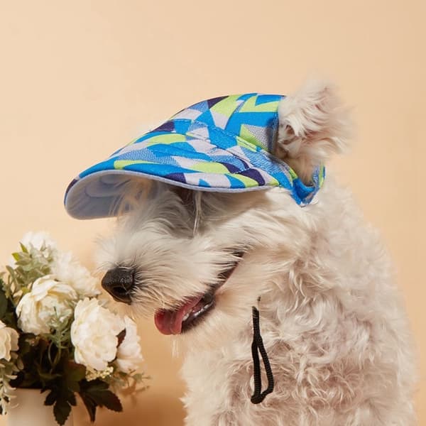 Mordely Pet Peaked Cap Baseball Cap SSTYLE 3 STYLE 3 S SStyle 3