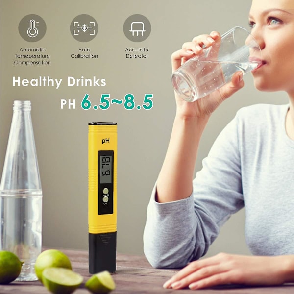 Mordely Ph Meter 0,01 Ph High Precision Water Quality Tester