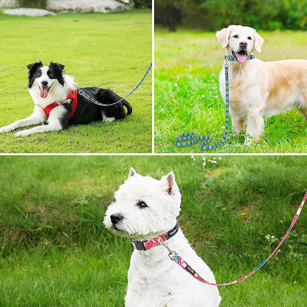Printed Dog Leash Large, Medium And Small Pets Go Out And Walk The Dog Leash Cute