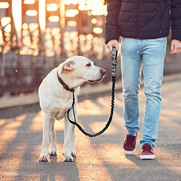 2023 Dog Leash Traffic Padded Two Printing Handle, Reflective Leashes For Control Safety Training