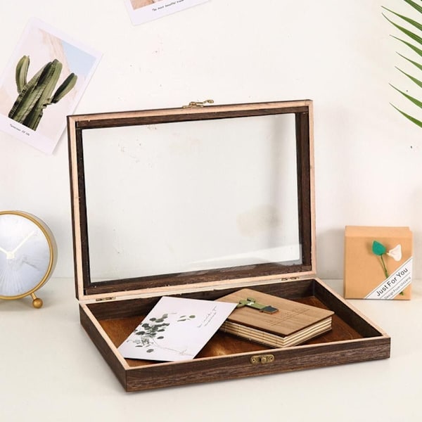 Mordely Case Bildram Insektsexemplar Display Box M