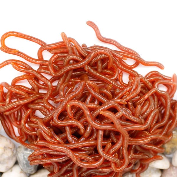 Mordely 100st Worm Red Baits Fiskedrag 6CM-100ST 6CM-100ST 6cm-100pcs