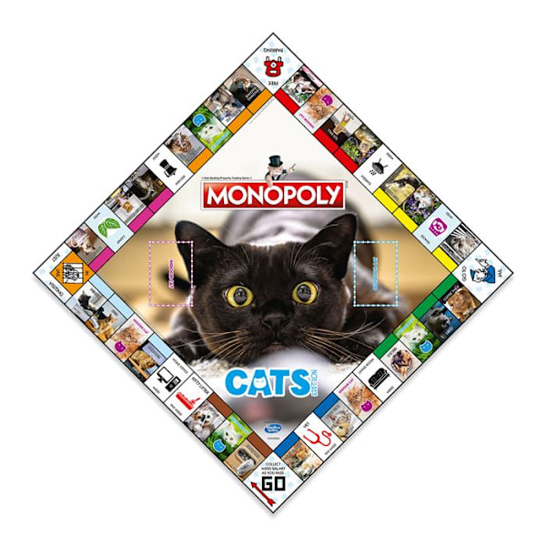 Sällskapsspel - Winning Moves - Monopol Katter - Flerfärgad - 2 till 6 spelare - 8 år och uppåt