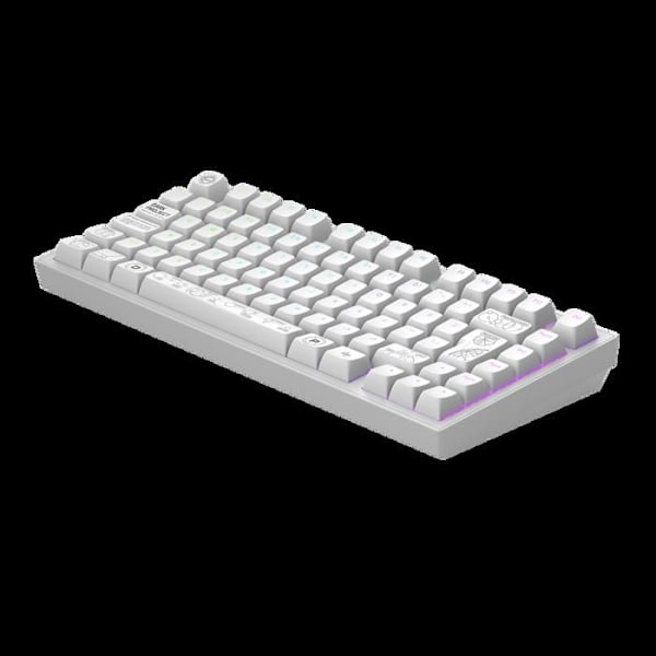 DARK PROJECT ALU Terra Nova, Hvid - Trådløst gaming mekanisk tastatur (DE) [ISO].