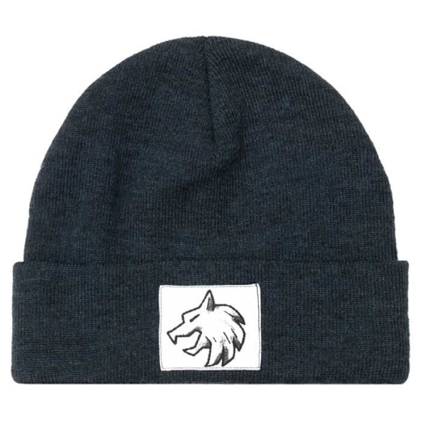 J!NX The Witcher Beanie - JINX - Evil Is Beanie Marinblå - Grå - Modeaccessoar - Casual Grå