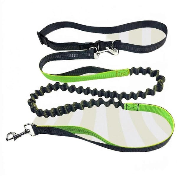 Universal reflekterende hundesnor med elastisk håndtag, poseholder til mellemstore og store hunde