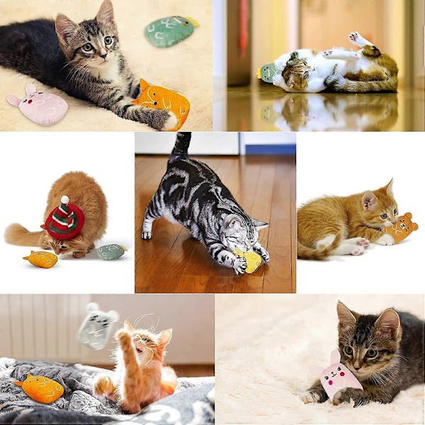 Catnip Leksaker, Inomhus Kattleksaker med Rassel, Plysch Kattleksaker, 6-Pack