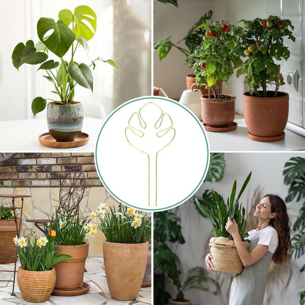 Monstera Plant Support Bundle, Climbing Plant Support, Multifunctional Stem Support, Plant Support with Unique Leaf Design for Indoor Plants