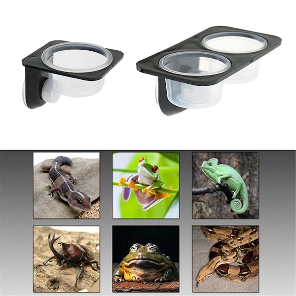 & Amfibier Firben Gecko Sug kop Foderskåle Madbeholder med Skål til Krybdyr Mad og Vand Fodring-A As Shown