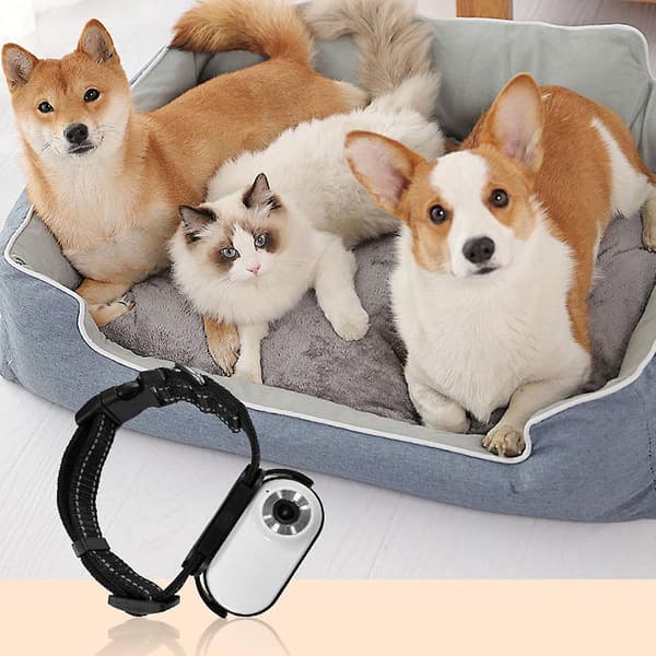 HD 1080P Cat Camera Collar with Video Recording Wireless Mini Action Camera, Small Action Camera, Portable Pet Camera
