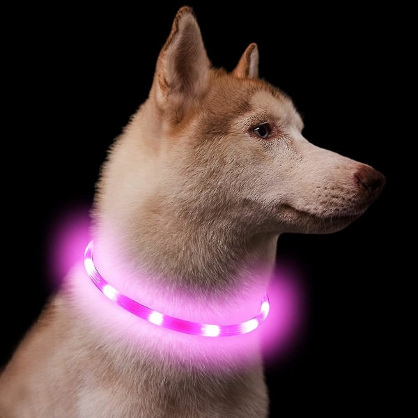 Light Up Hundehalsbånd, blinkende Led Hundehalsbånd Lys, USB Oppladbare Sikkerhet Hundehalsbånd Lys For The