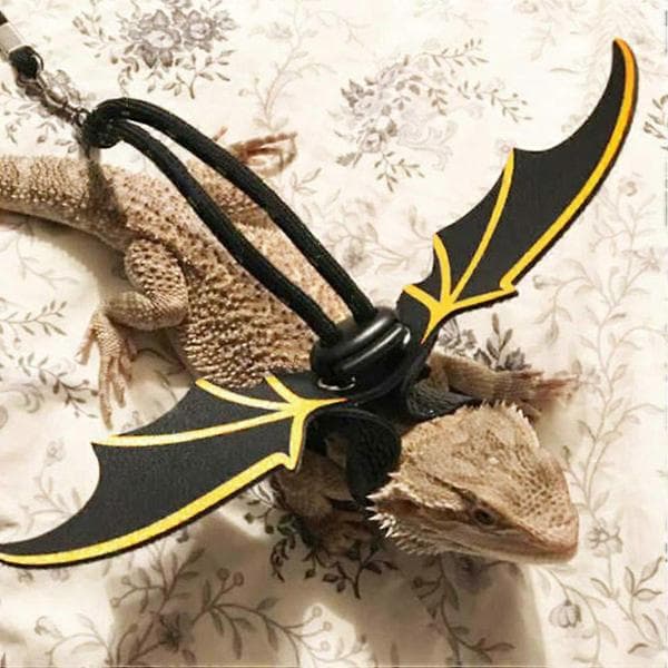 Husdjursdragkabel Justerbart koppel för 2 st reptilödlessele M Multi