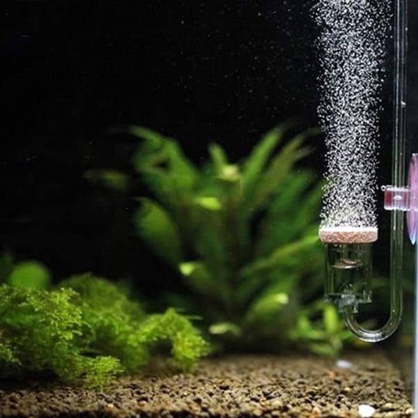 Akvariebobblestein, ultrastille akvarieluftstein, akvarieboble