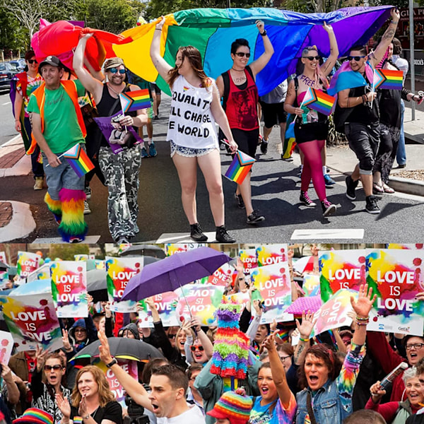 20 kpl sateenkaari Pride -lippuja, pienet kädessä pidettävät Pride -liput tikuissa