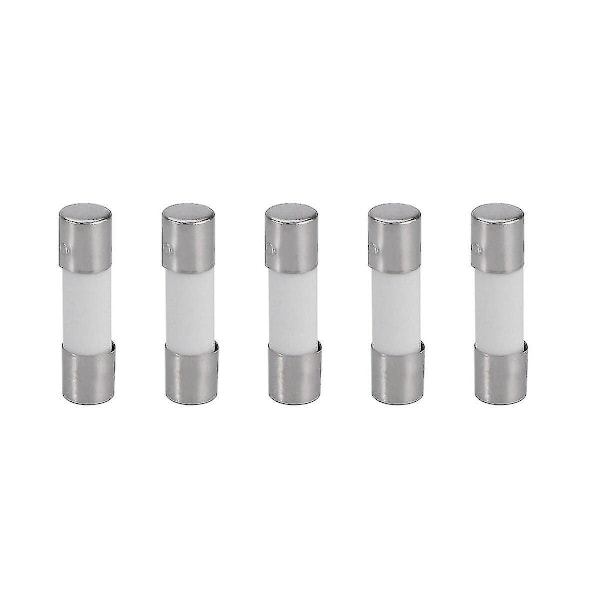 5st 5x20mm 6.3a Trög Keramisk Säkring T6.3a 250v