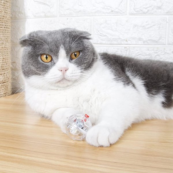 5 stycken spökjakt kattboll rörelsebollar paranormal utrustning hundbollar interaktiv katt leksak husdjur leksaker för inomhuskatter underhållningsleksak