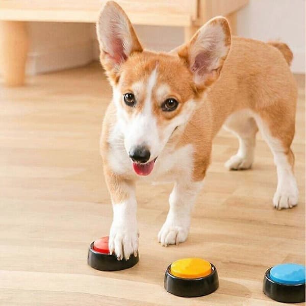 Recordable Talking Button 30 Second Voice Recording Button Training Buzzers for Pets