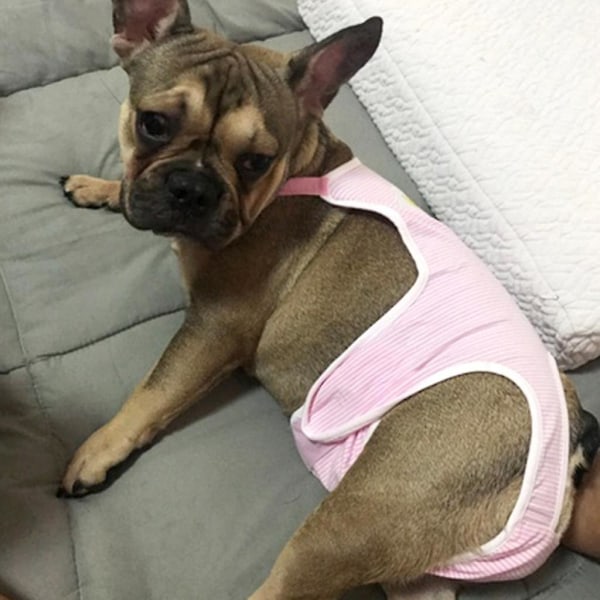 Hängsel fysiologiska byxor Pet Underkläder Blöja Jumpsuit för flicka hund present