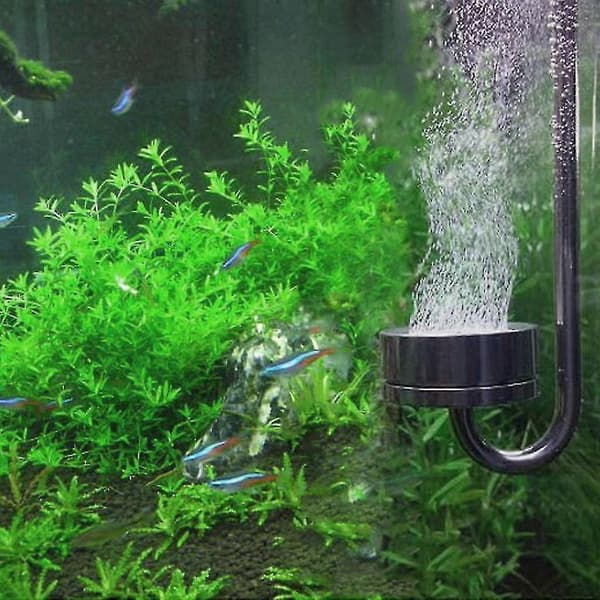 Akvarium Ultratynn CO2-diffusor i rustfritt stål, utskiftbar keramisk skive, ADA-stil, høy CO2-oppløsningshastighet XL