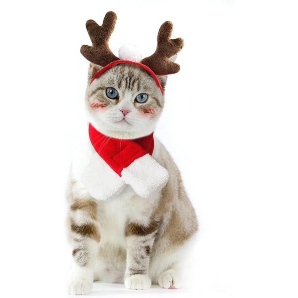 Juletøj til hund Juletøj til kat Hundekostume sløjfe Kat Julehundekostume Julemandstøj