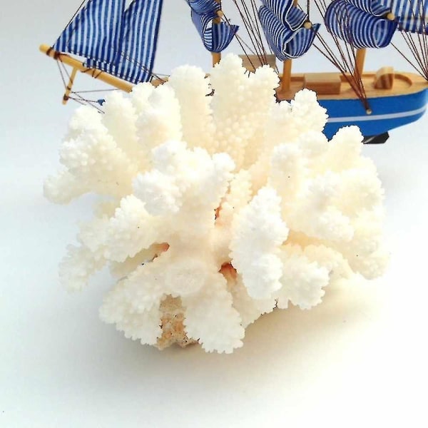 12-14cm 100% Natural Coral Sea Valkoinen korallipuu Valkoinen koralli