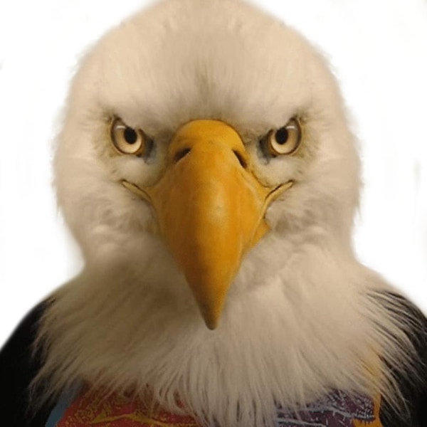 Eagle Mask, Suljettu Avoin Suu White Eagle Head Mask, Uutuus Latex Hawk Face Masks Juhlavarusteisiin