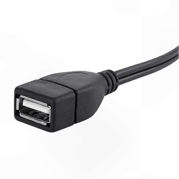 1,5 m USB A naaras - 2 RCA uros AV-kaapeli