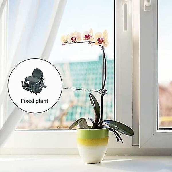 100 stk. Plantefiks Klips Orkide Stængel Vinstok Støtte Grøntsager Gård Blomster Frugt Bundet Bundt-gren Klemning Værktøjer-yvan