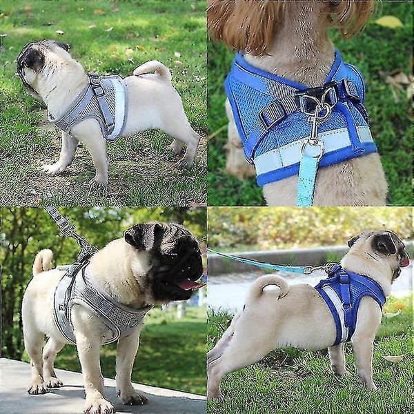 Escape-Proof Cat Harness - Safe and Comfortable Design Red Red XL
