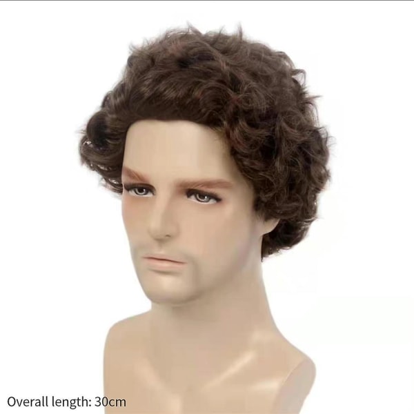 Men Black-brown Fashion Short Fluffy Curly Hair Wig Cosplay Party Synthetic Full Wigs