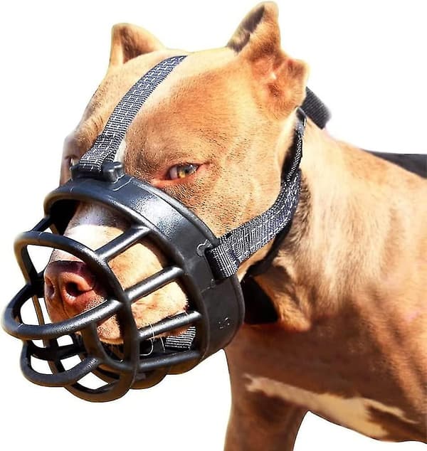 Soft Basket Muzzle for Dogs Safe and Comfortable Fit, Prevents Biting, Chewing and Barking Muzzle New for 2024 Dg