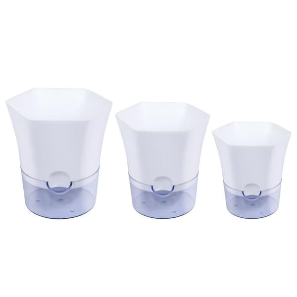 Self-watering flower pot, self-watering transparent bottom Medium