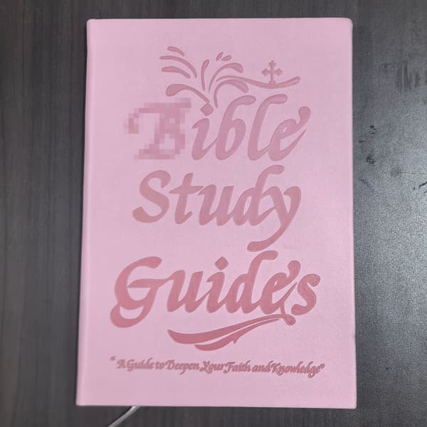 Lyserøde studievejledninger (66 sider)