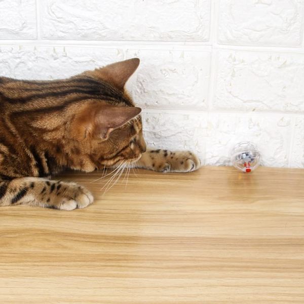 5 stycken spökjakt kattboll rörelsebollar paranormal utrustning hundbollar interaktiv katt leksak husdjur leksaker för inomhuskatter underhållningsleksak