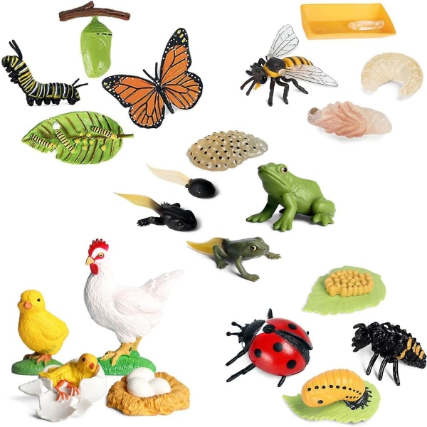 Dyrefigurer, 20 stk. insektlegetøj, livscyklus af handlingsmodel, plastik bugs figurer legetøj, gaver til børn tidligt pædagogisk legetøj