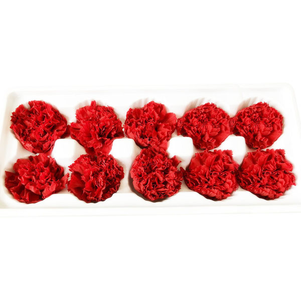 10 stk/sæt konserverede blomster multifunktions lysfarvede tørrede blomsterskærme til gaver Tianyuhe Red
