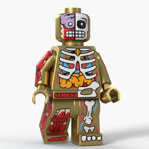 Barnleksaker D8005A-F anatomisk figur tredjepartsmontering byggstenar figurpåse prydnader