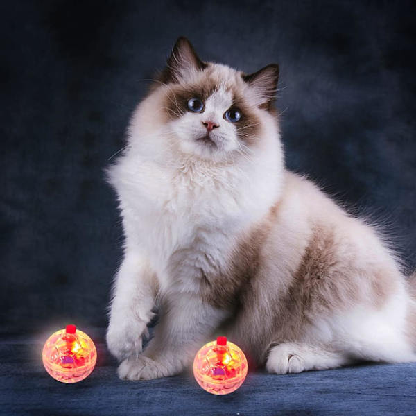 5 stycken spökjakt kattboll rörelsebollar paranormal utrustning hundbollar interaktiv katt leksak husdjur leksaker för inomhuskatter underhållningsleksak
