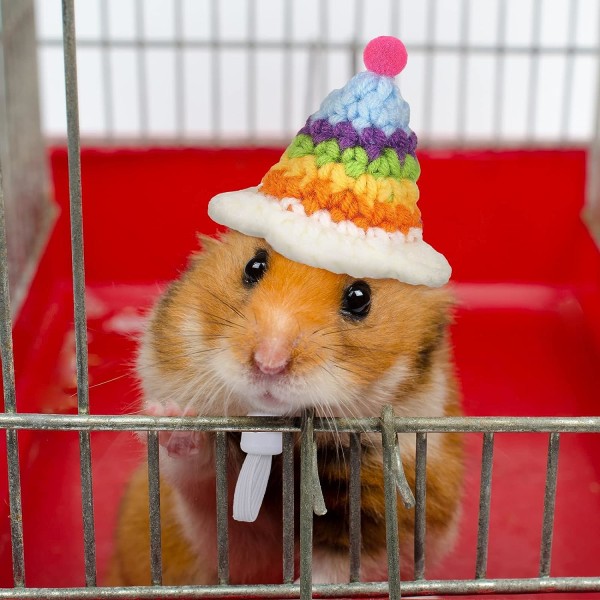 4 stykker hamsterhat Mini smådyr hat med justerbar rem Dejlig håndstrikket frø regnbue gulerod små hatte Julefest