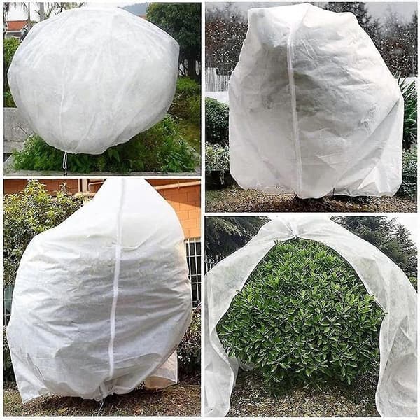 Sæt med 2 vinterbeskyttelse til planter, beskyttelse mod frost, vinterbeskyttelse til planter, stor pose med potteplanter, 60 x 80 cm