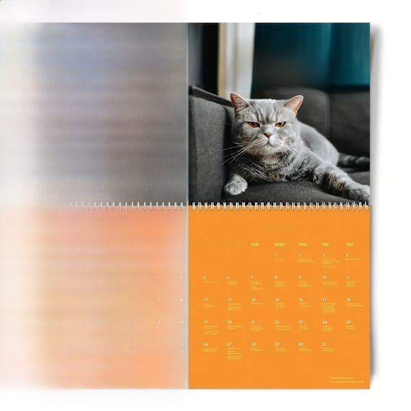 Kawaii Argig Cat Skrivbords kalender 2025 Söt Väggkalender Skrivbordstillbehör Kontorsmaterial Daglig Firande Spiral planet-1pcs