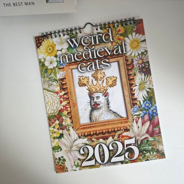 Outojen Keskiaikaisten Kissojen Kalenteri 2025 - 12 Kuukauden Seinäkalenteri, Ripustettava Toimistoon, Kotiin, Lahjaksi, Pinnoitettu Paperi, 11 * 8,5 Tuumaa (1 Kpl)