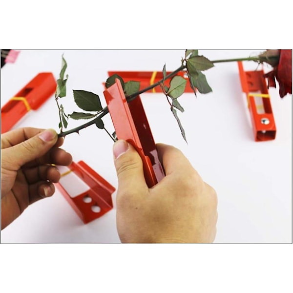 DIY-skæreværktøj, blomsterhandler, metal, have, blomst, torn, stængel, bladstripper, holdbar, rosetang, hjælper med at fjerne B