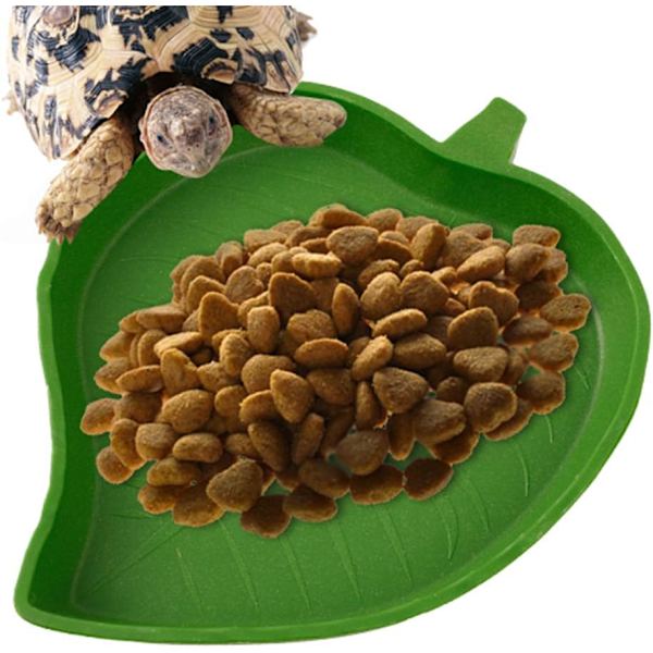 2PCS Blad Reptil Mat Skål Reptil Matare Lämplig för Sköldpadda Majsorm Reptil Husdjur Dricka och Äta 2 År Gammal Blanco 8