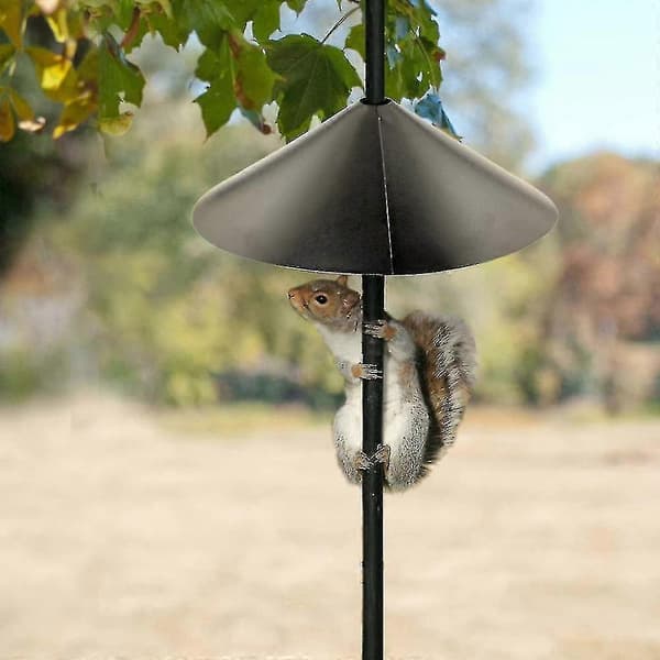 Havesquirrelbeskyttelsesskærm til fuglefoderautomat, wrap-around beskyttelse T 14in